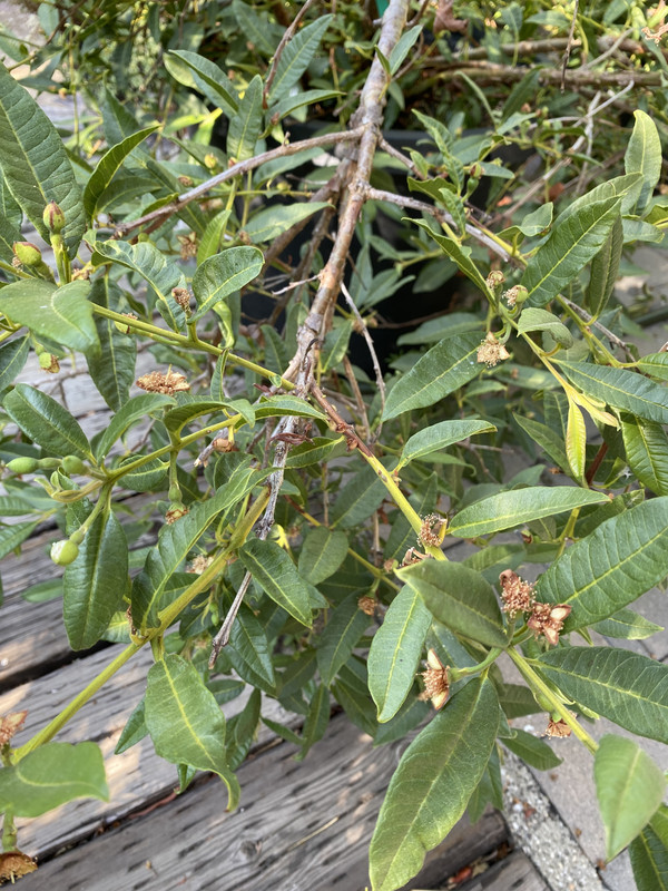 51F3E8E2-7D3E-4E50-872E-673A16E7DEBC