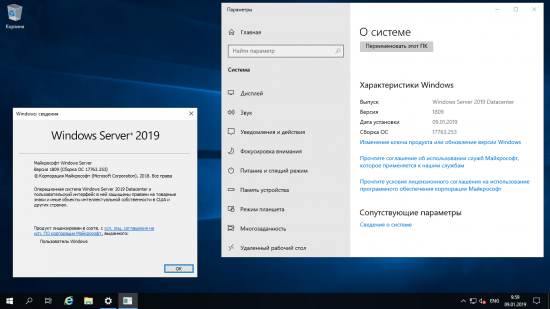 Windows Server 2019 17763.253 12in1 (x64) En/Ru January 2019