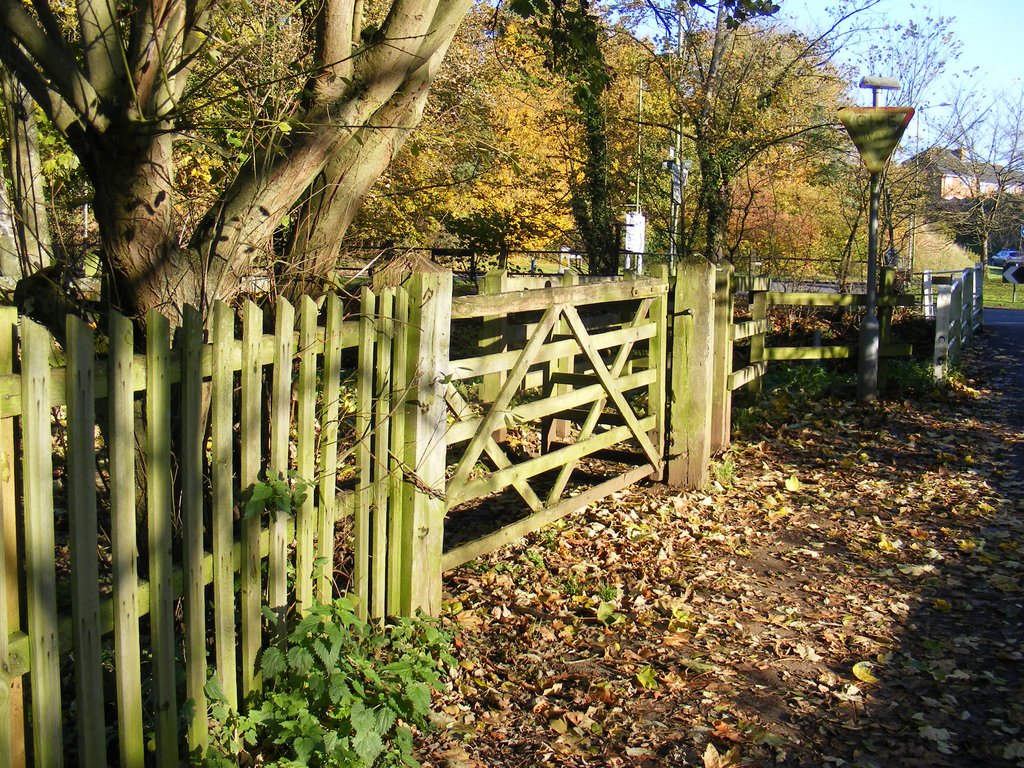 DSCF0712.jpg