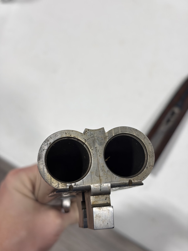 [Linked Image from i.postimg.cc]