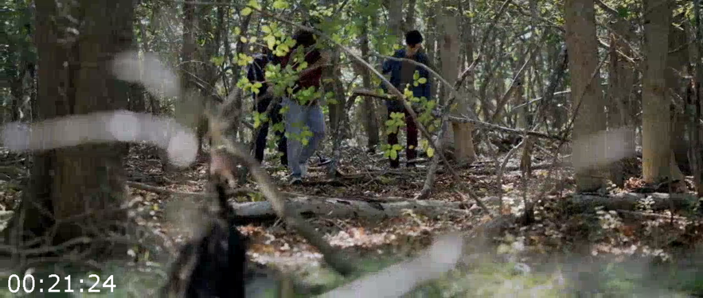 [Image: a8oru33mtw7x.png]