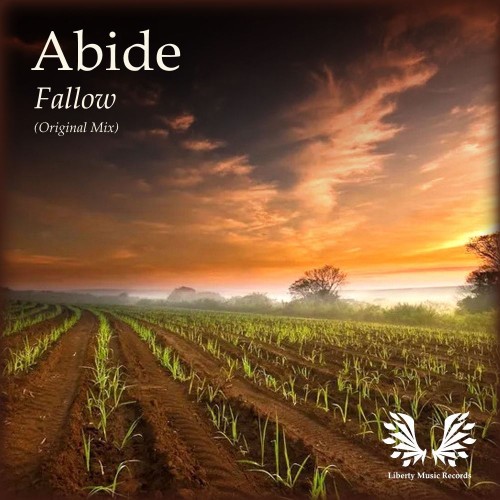 00-abide-fallow-lmr108-single-web-2026-p