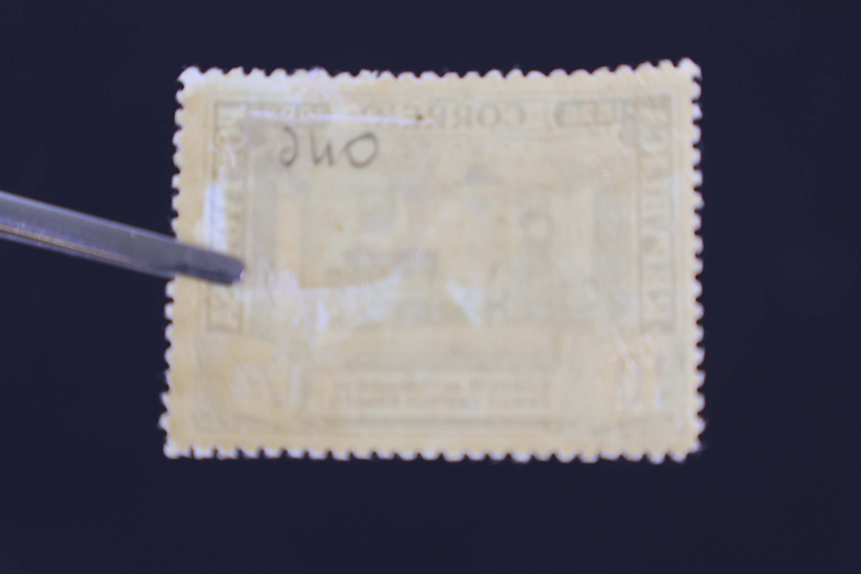IMG-6456-1-(9)