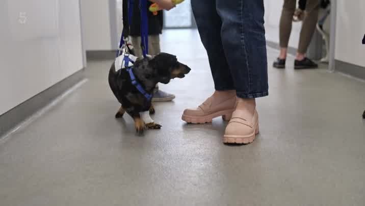 [Image: sv2pmp7gu5f3.jpg]