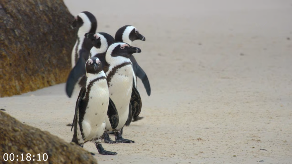 [Image: qfyamigf4464.png]