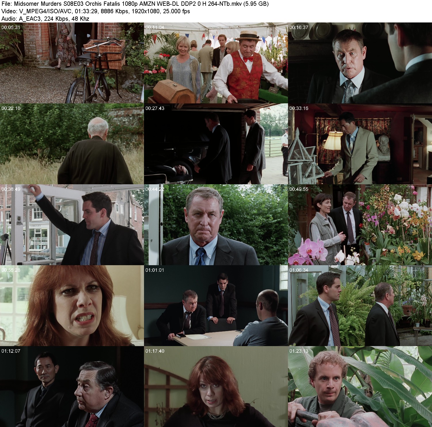 [Image: zj5s91rtl5te.jpg]