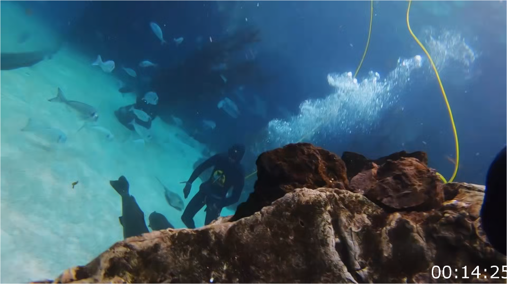 [Image: xo9c25bkzi3x.png]