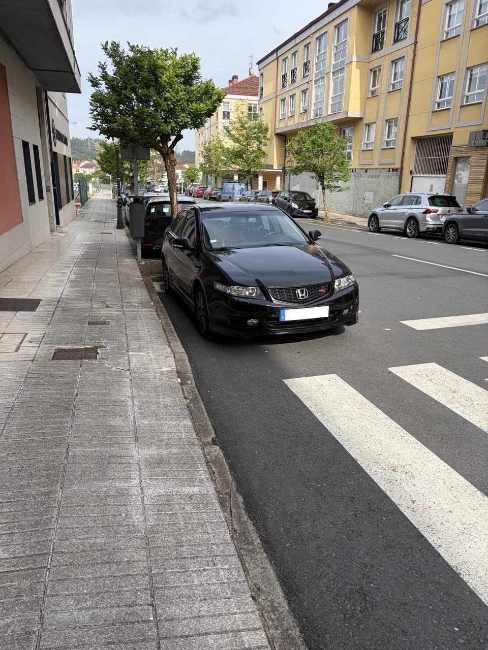 delantera.jpg