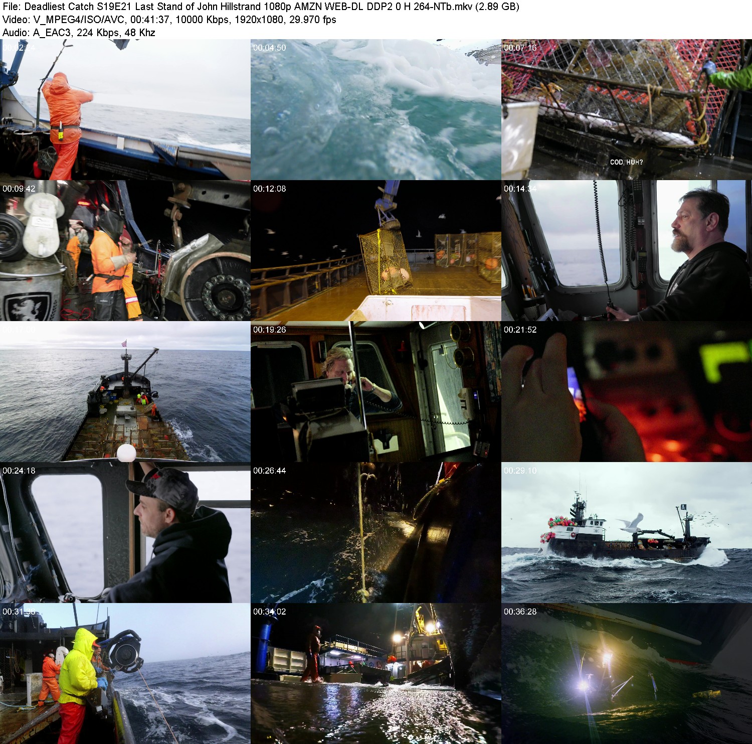 [Image: rgj3aza2fl82.jpg]