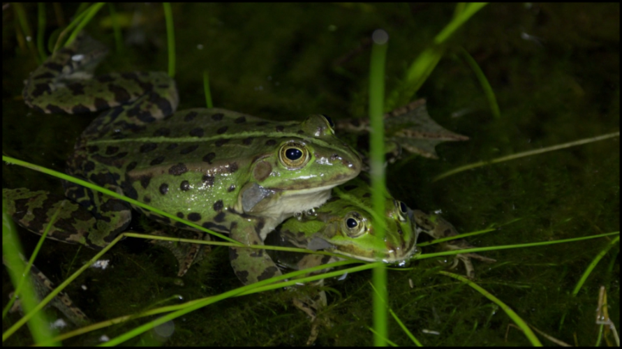 [Image: q44tem6wli1f.png]