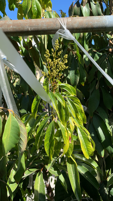 52D09ECF-B163-4859-B1E0-EE4DA3187E27