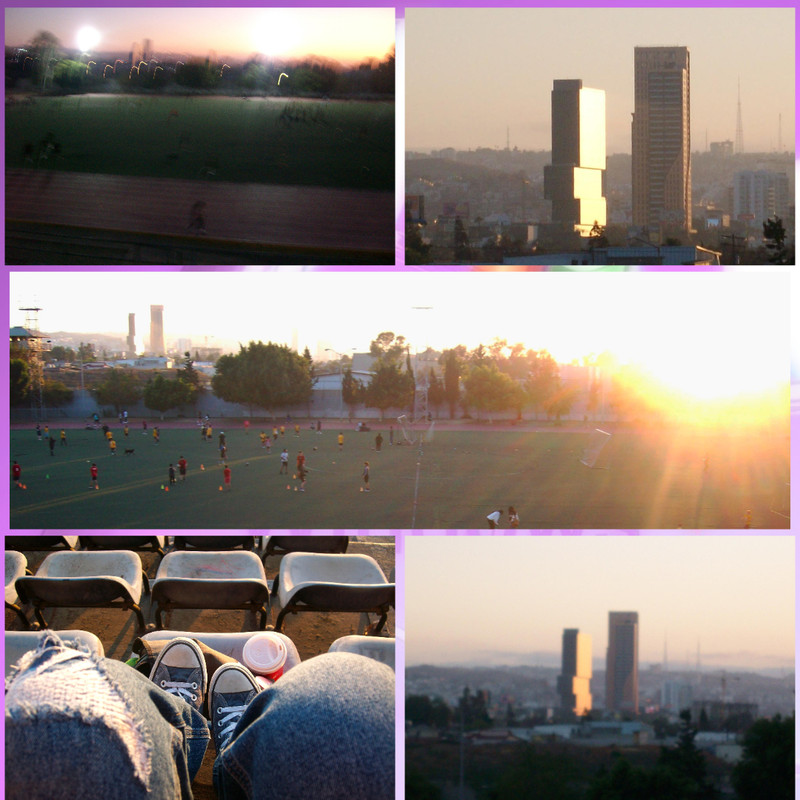 collage2