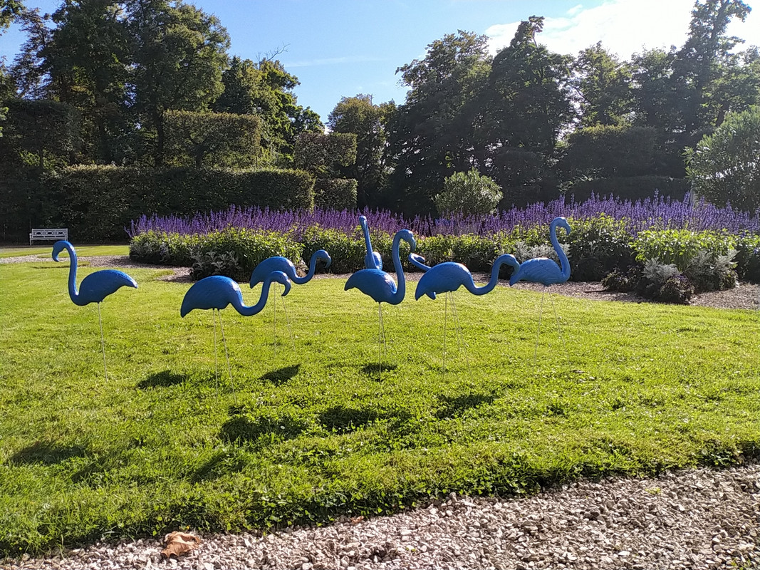 018 - IMG20210904150553