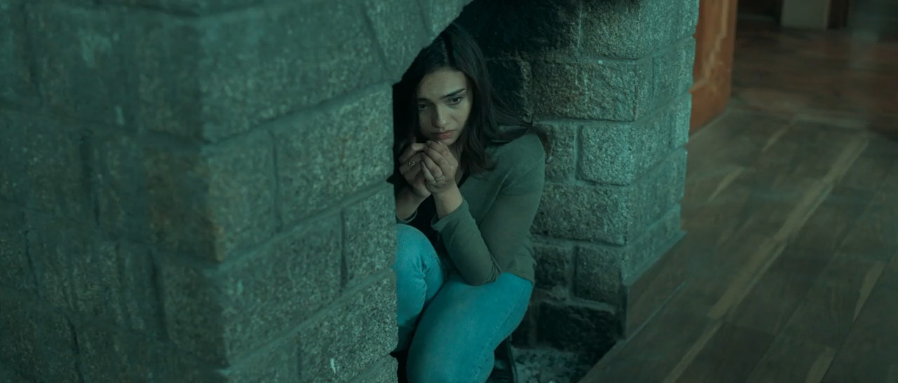 A Stranger by the Hill 2024 WebRip [Hindi] 480p, 720p ESub Screenshot