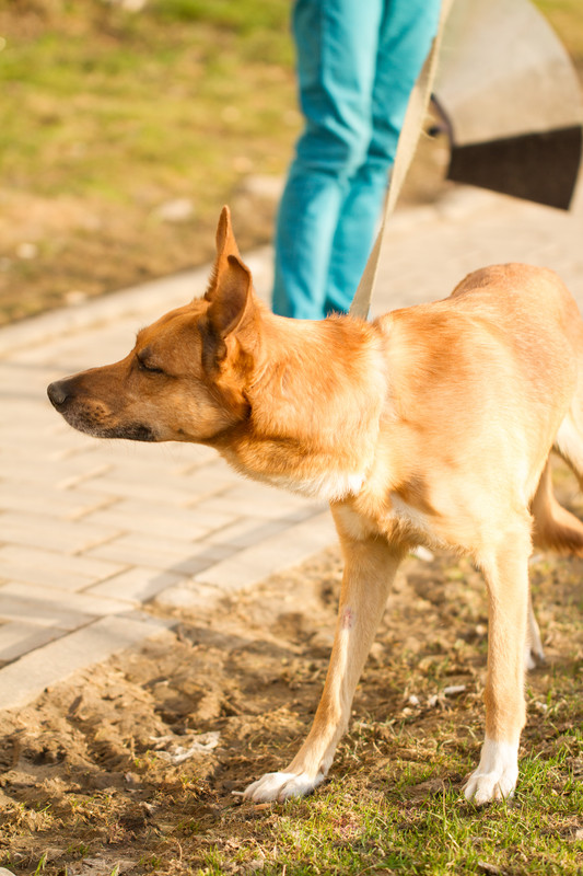 без имени-5352