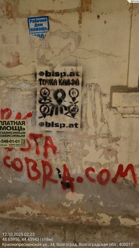 photo_49_2025-10-12_17-34-55