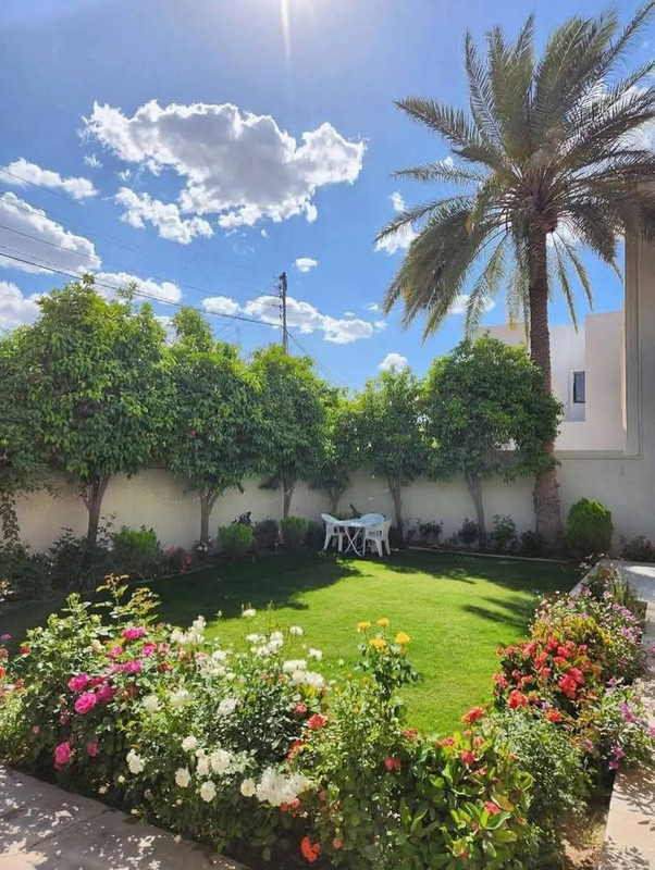 نباتات حدائق الرياض