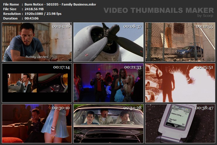 Burn Notice S01E05 Family Business mkv