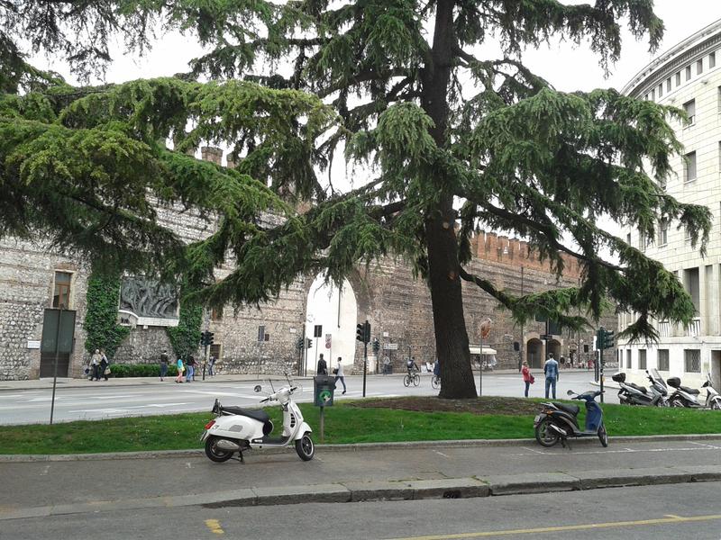 Slika