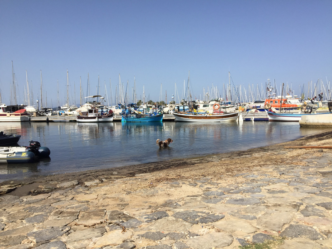 361793B8-905A-4D53-B6B6-3AF19B95E370