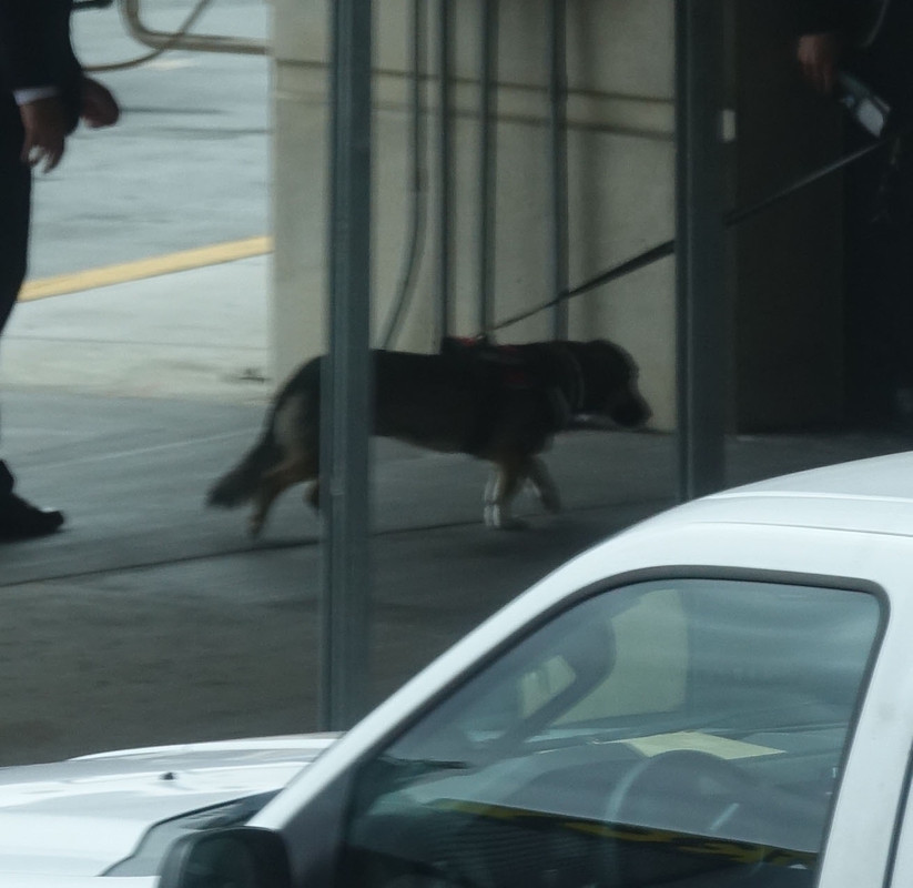 emmawatson-photogallery.blogspot.com (34)