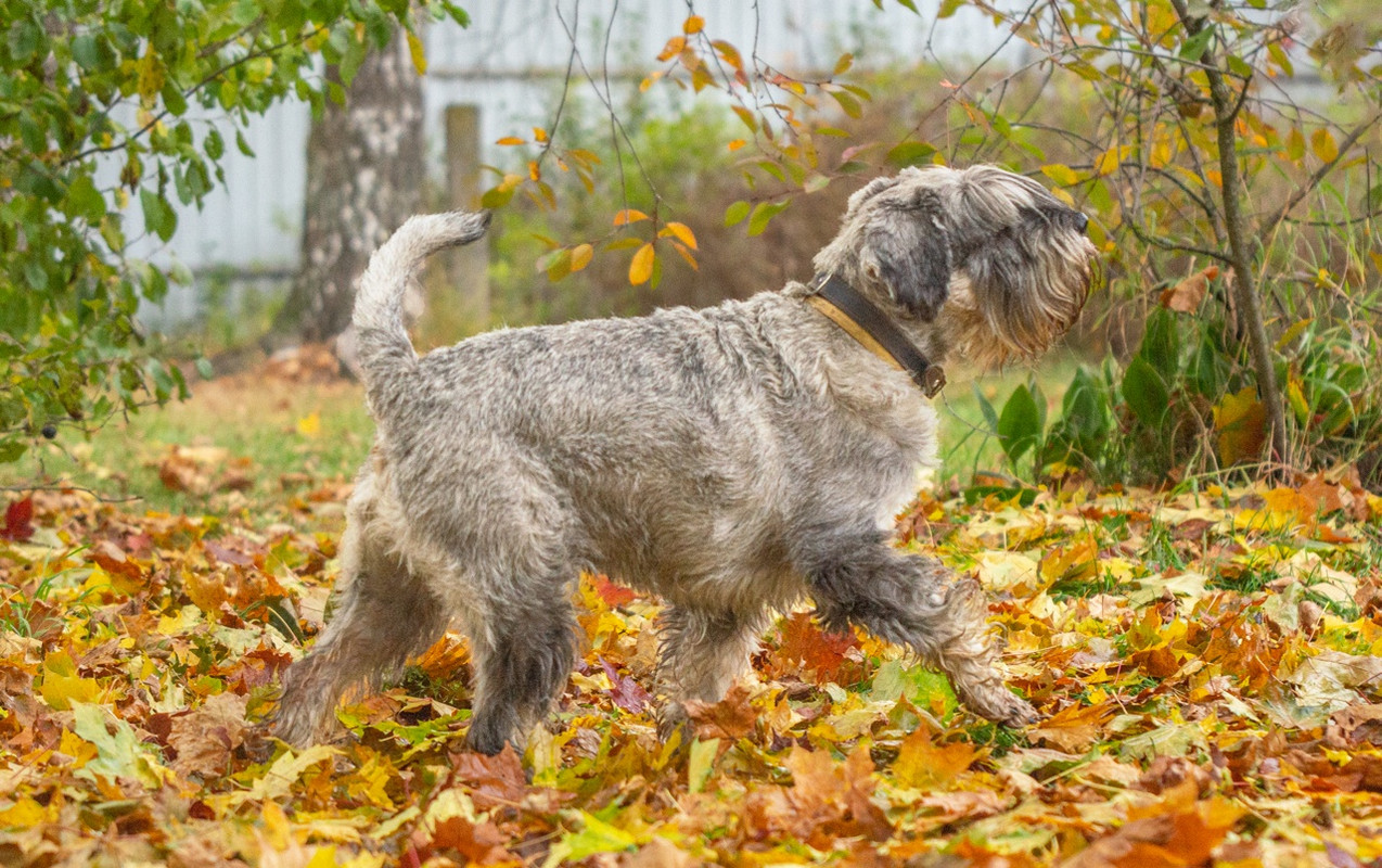 facLQ0DvYuVEiOpuw8eXGKvNeBAnEPptw_OLX3QqjaECWgxLhoDucx-0FYlk0wjYg1LPyf2w0sl4SrOPR9aVaOlY