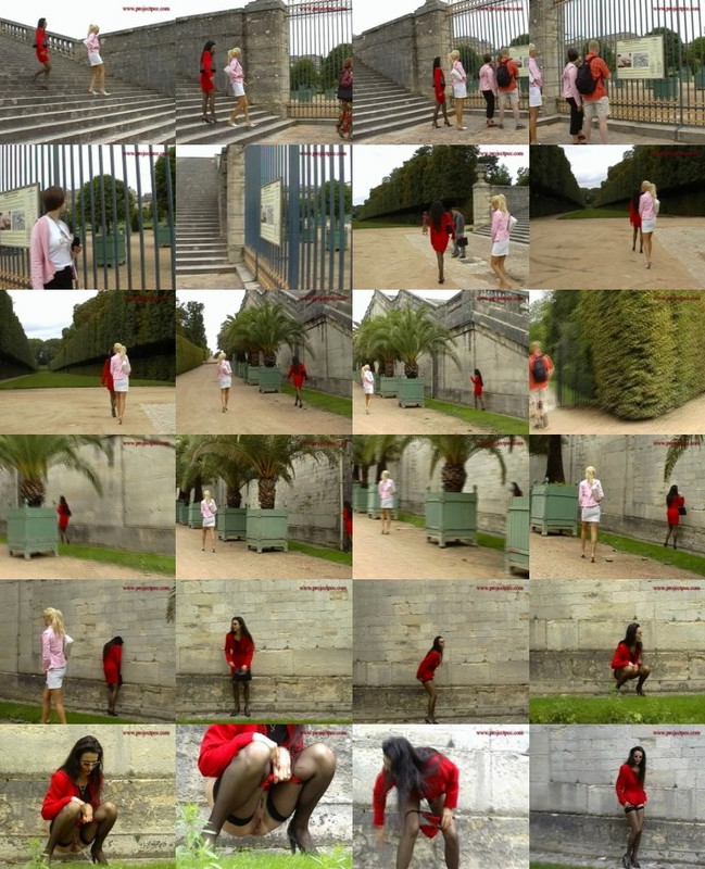 86321Piss
