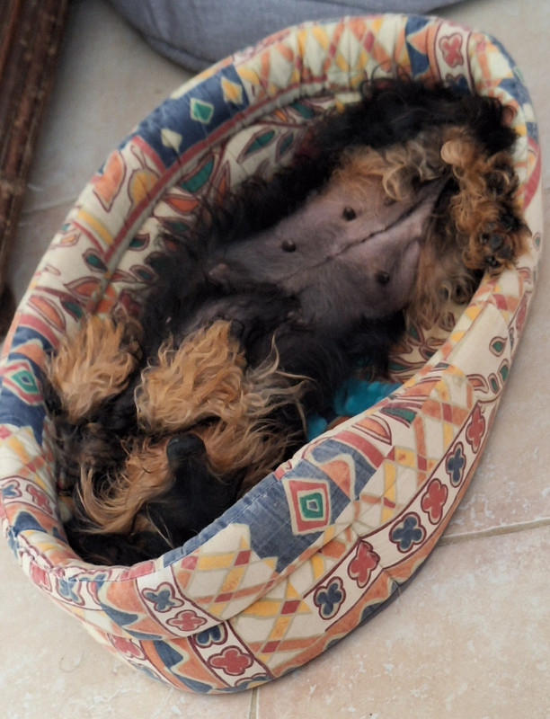 [Image: 20250715-135035.jpg]