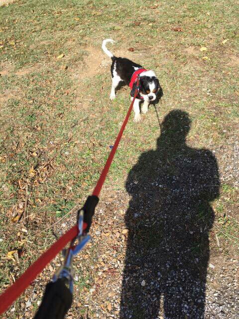 57D175A4-3AC4-442F-80BA-69F17452EC45