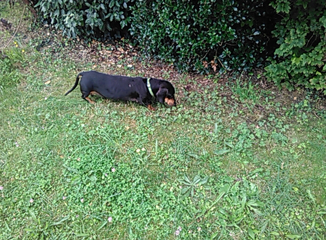 [Image: PANO-20210726-131111.jpg]