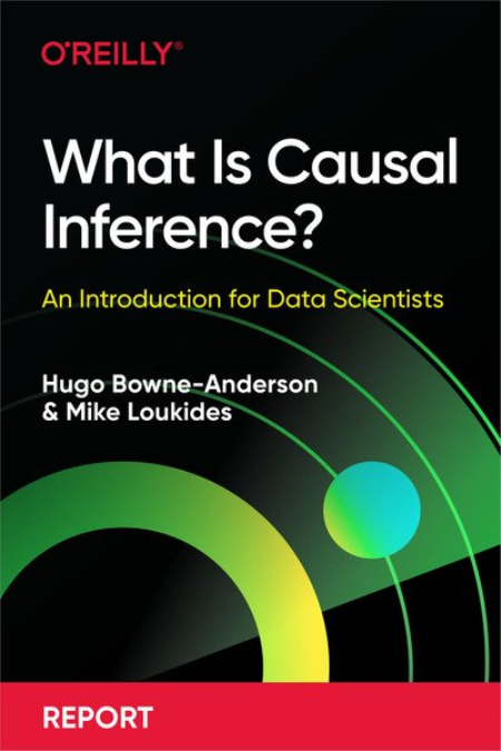 What Is Causal Inference?