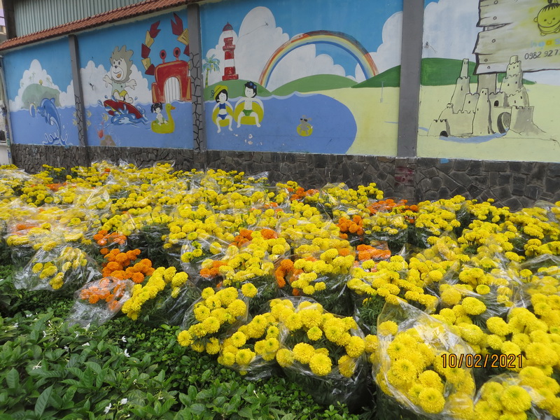 [Image: IMG-7789.jpg]
