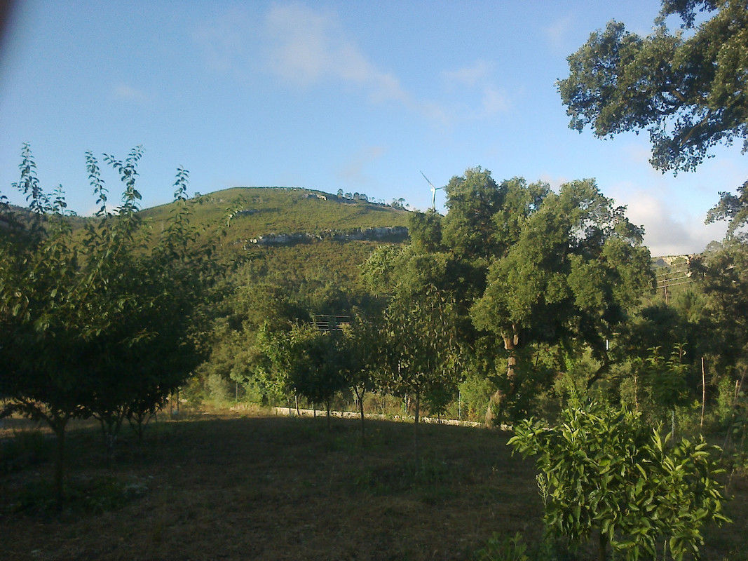 foto0103