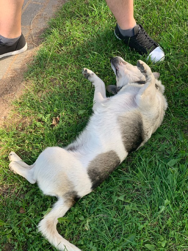 0a293309-5e3b-46ee-bf80-cf5c4cb34234