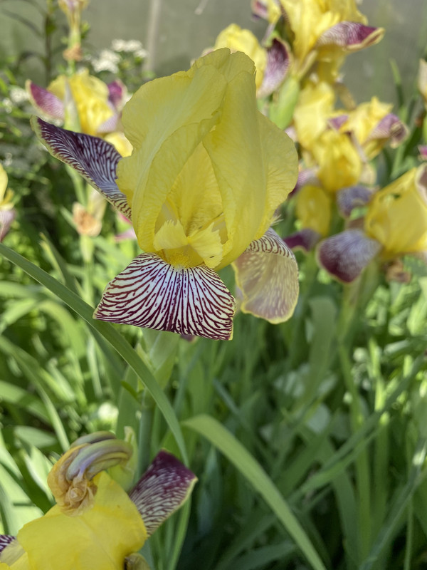 FA8643C3-0833-495A-8D10-AA2A1C640CA8