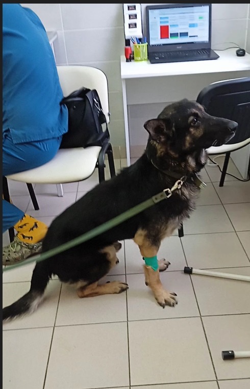 B58F78FF-B820-4DF8-A4AC-28CD43CA7BAC