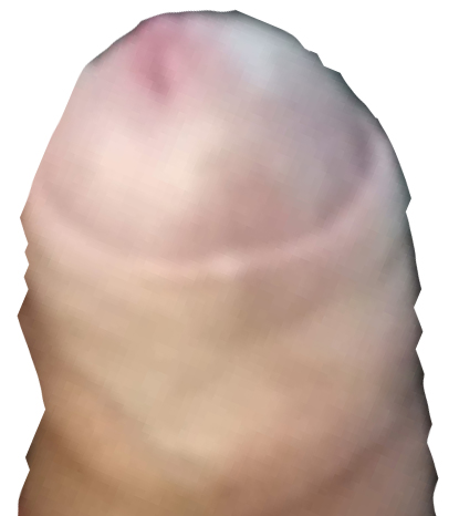 drachensp-her.jpg