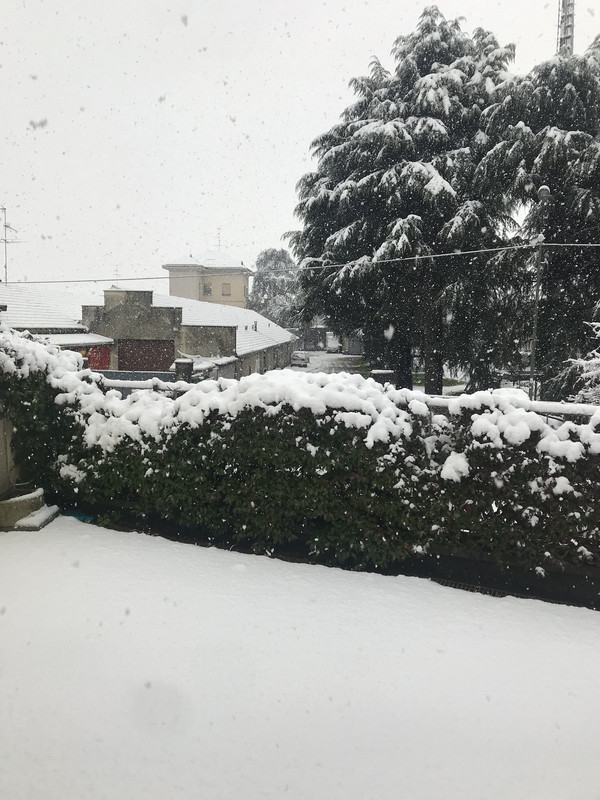 56EB90E7-1311-4EDA-A746-3607DD162062