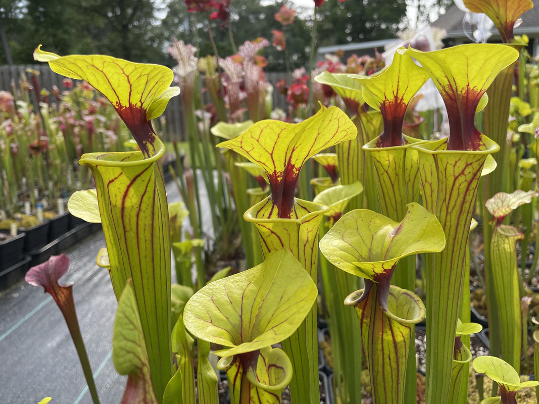 3C20D2A7-66E4-40AA-A984-FB1A20C9969E