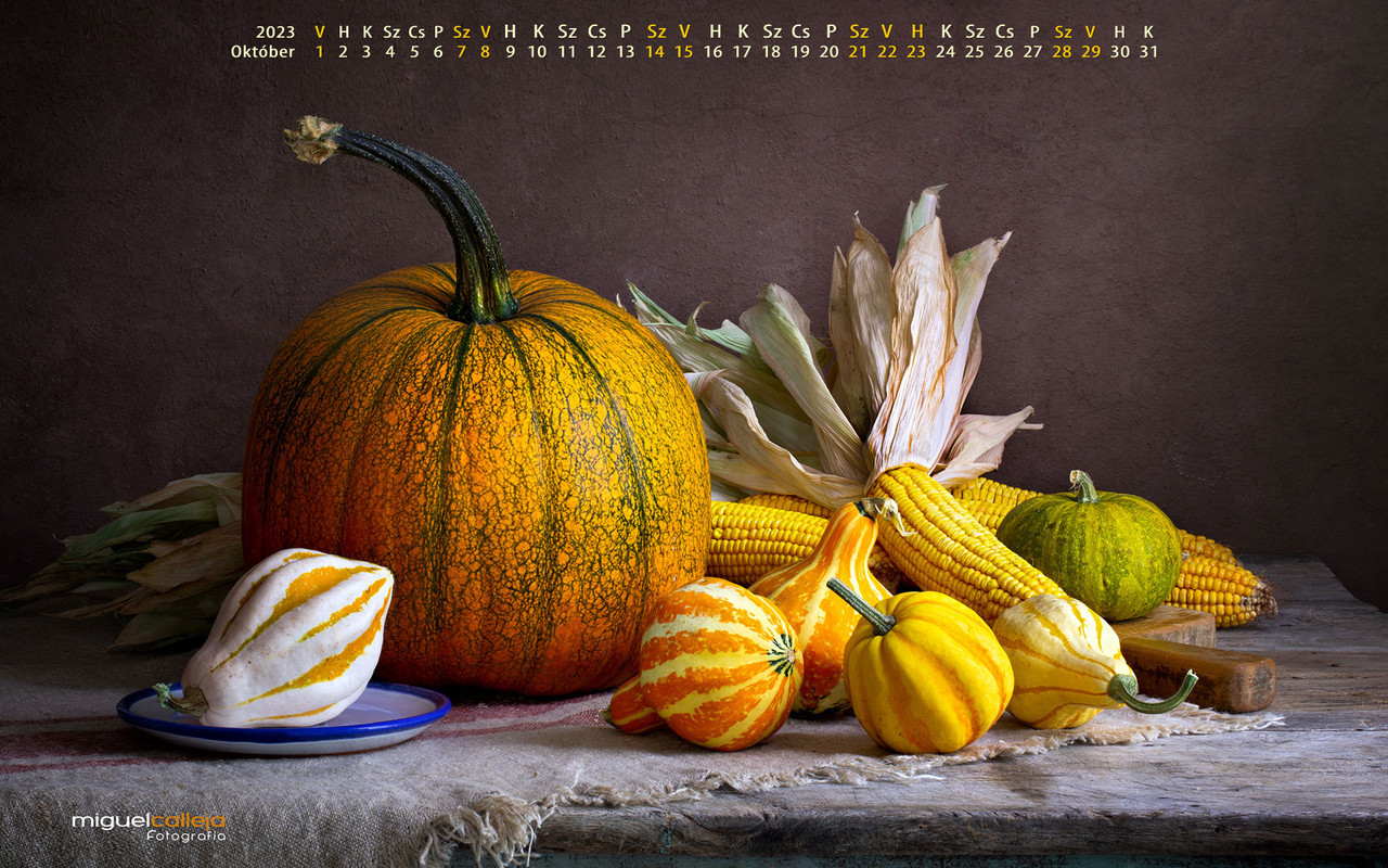 2023_oktober_wide_05
