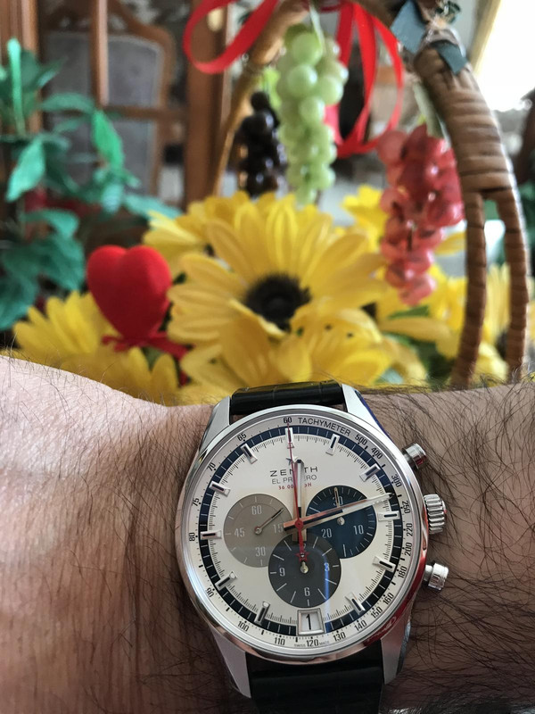 527C6802-849D-4D89-A50F-47610A957D74