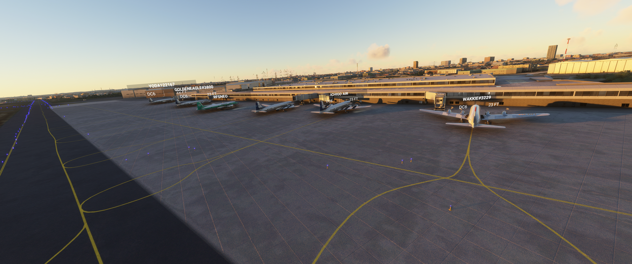 Microsoft Flight Simulator 27_06_2021 00_21_45