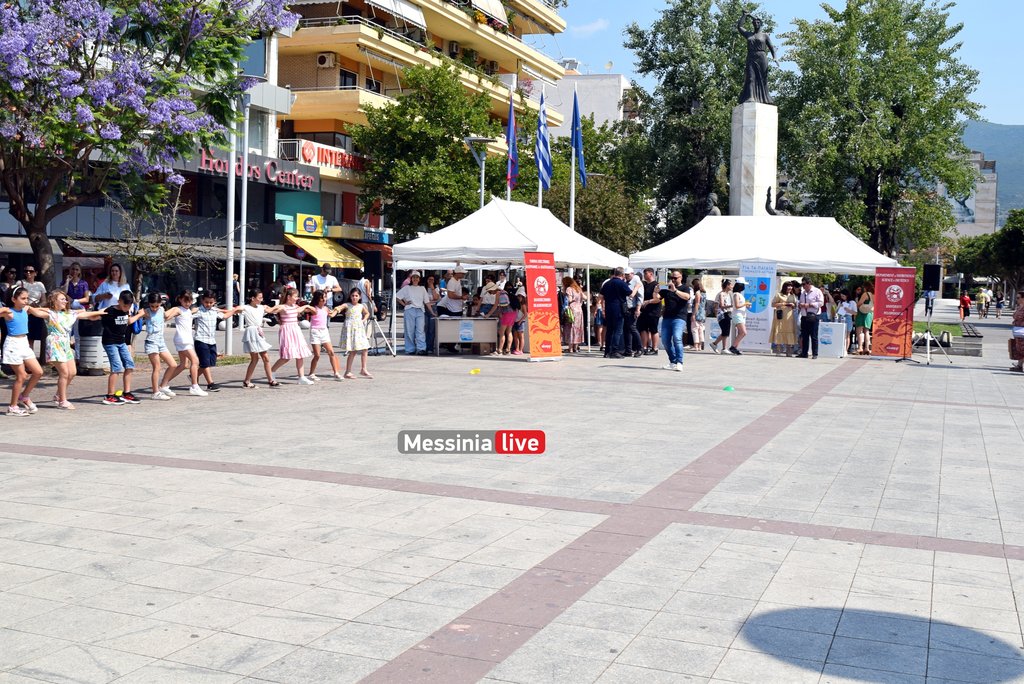 FESTIVDSC-1350