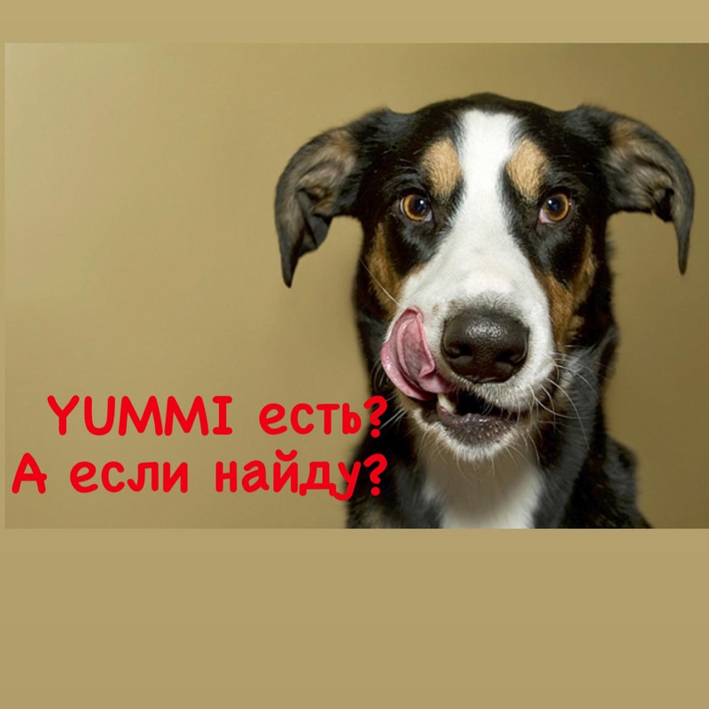 DA26DBE1-CD08-4C66-A08B-777B353570BB