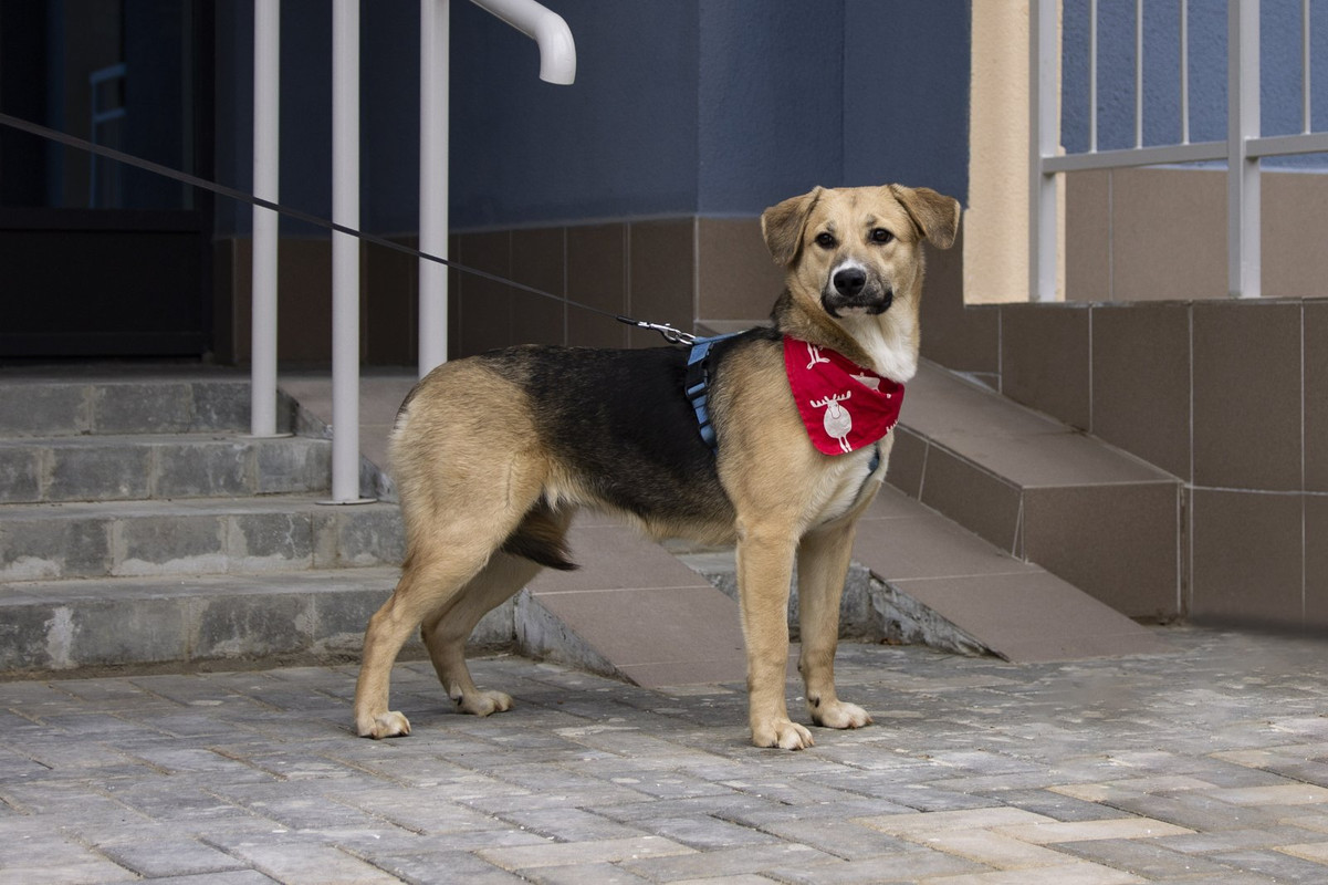 изображение_viber_2022-12-05_22-36-30-115