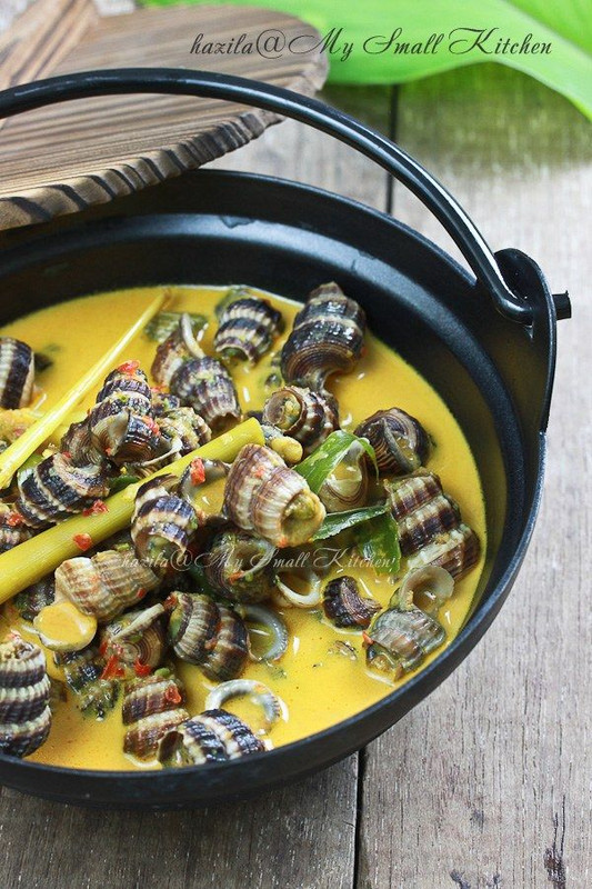 Masak Lemak Siput Sedut