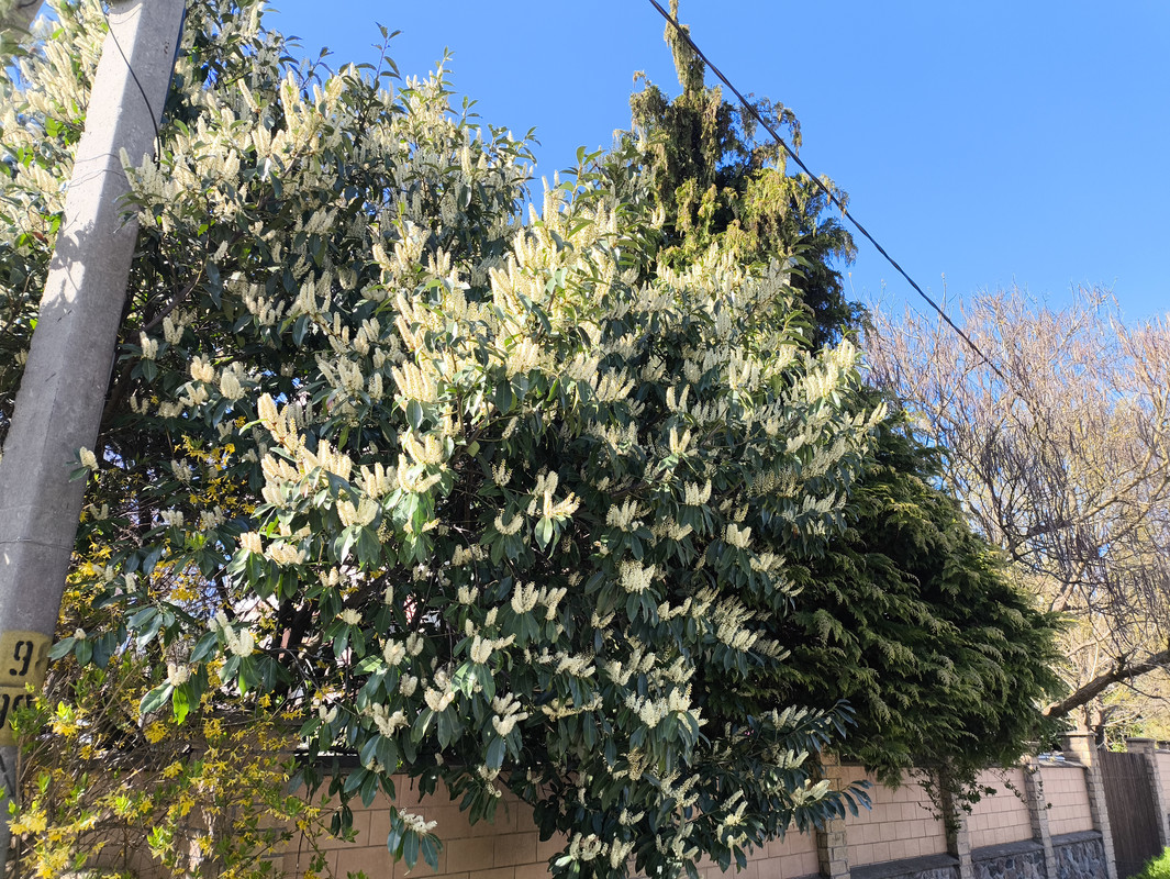 25 апреля 2025 017