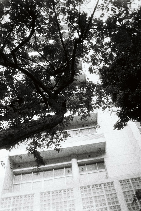 Double-XHF-132-resize