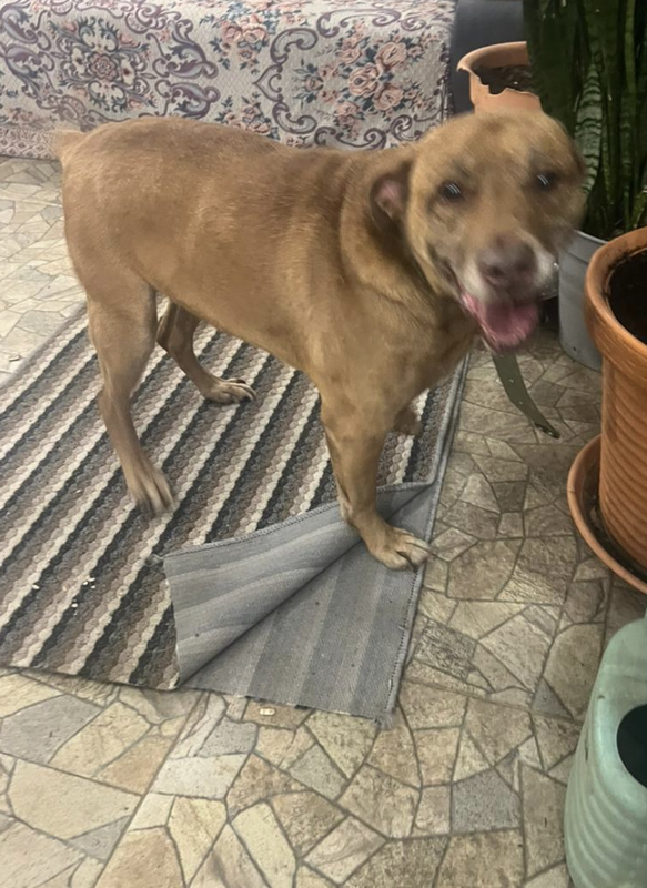 Снимок экрана 2024-05-06 в 14.18.20