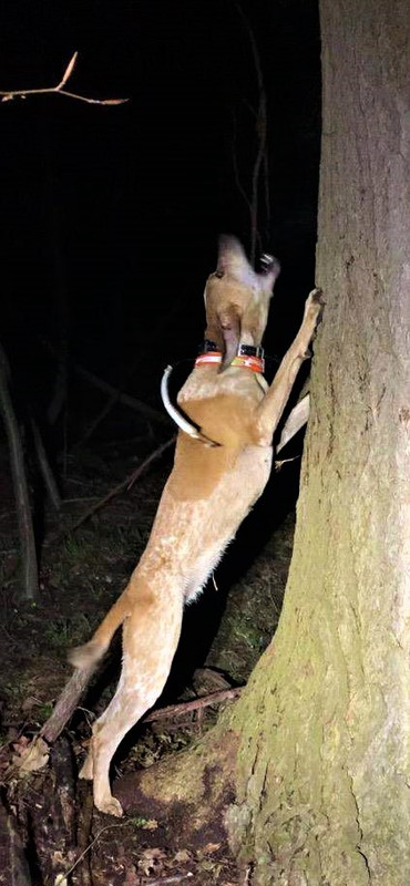 Resized_IMG_4644 (1)